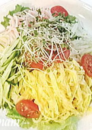 ごまだれde冷やし中華-レシピのメイン写真