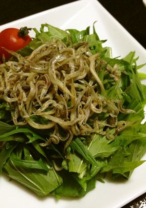 水菜♪じゃこじゃこ♪誘って♪サラダ-レシピのメイン写真