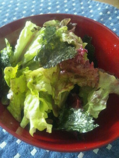 塩麹で焼肉屋さんのサラダ♪-レシピのメイン写真