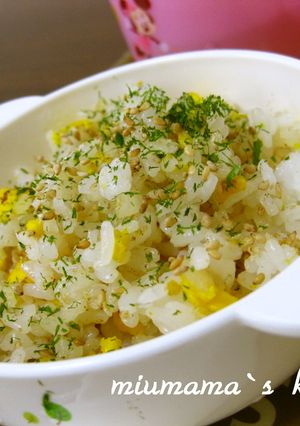 離乳食 完了期 じゃこと卵のチャーハン-レシピのメイン写真