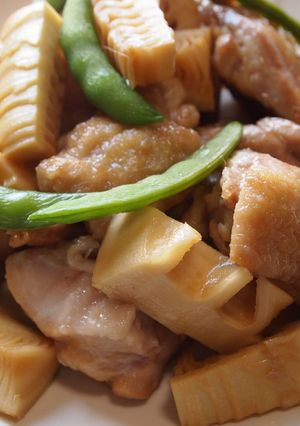 鶏肉とたけのこのお酢照り煮-レシピのメイン写真