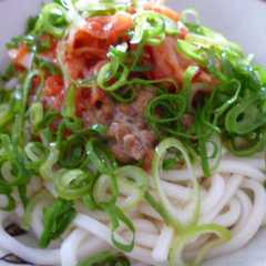 主婦の手抜き昼食～うどん編-レシピのメイン写真