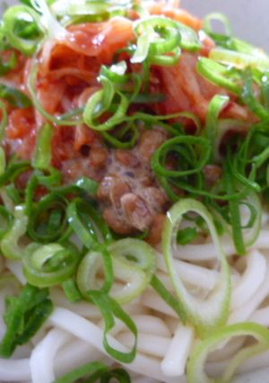 主婦の手抜き昼食~うどん編-レシピのメイン写真