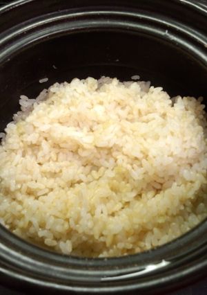 土鍋で炊く胚芽精米と発芽玄米ご飯-レシピのメイン写真