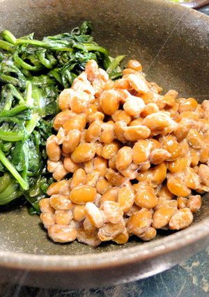 美肌★春菊と納豆の辛子和え-レシピのメイン写真
