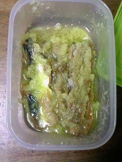 安い鰯が手に入ったら!手作りアンチョビ-レシピのメイン写真