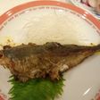 絶対おいしいカレームニエル