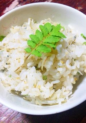 春の香り〜☆木の芽ご飯-レシピのメイン写真