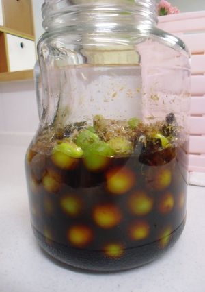 梅のカツオ・昆布しょうゆ漬け-レシピのメイン写真