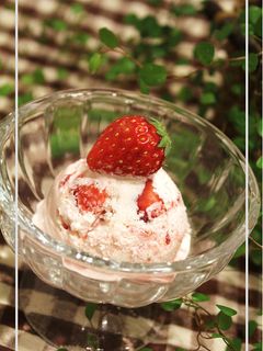 いちごとクリームチーズのヨーグルトアイス-レシピのメイン写真