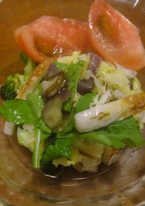 モズク酢といろいろ野菜のサラダ♪-レシピのメイン写真