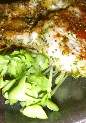 豚ヒレパン粉焼き-レシピのメイン写真