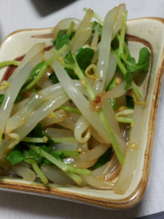 もやしと豆苗のからし和え-レシピのメイン写真