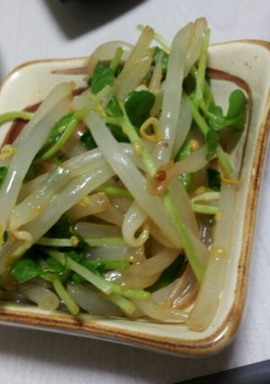 もやしと豆苗のからし和え-レシピのメイン写真