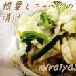 初夏の香り。大根葉とキャベツのシソ浅漬け
