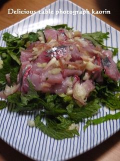 なんちゃって鯵のたたき-レシピのメイン写真