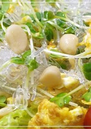 プチプチ海草麺サラダ-レシピのメイン写真