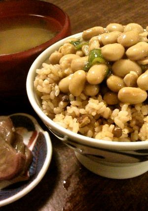 炊飯器やヨーグルトメーカーで自家製納豆-レシピのメイン写真