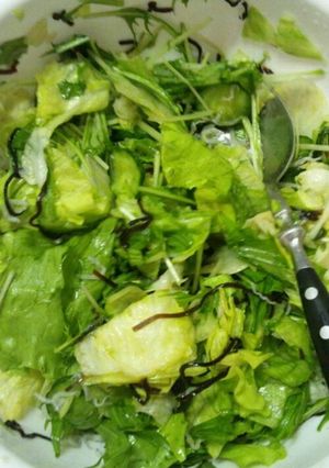 レタスと水菜の塩こんぶサラダ-レシピのメイン写真