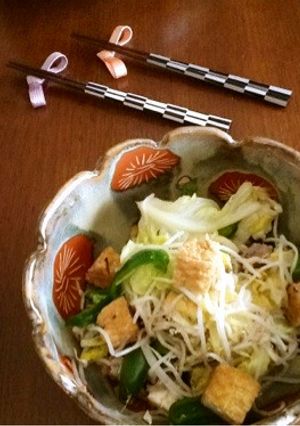 厚揚げと豚肉ともやしの塩麹蒸し煮-レシピのメイン写真
