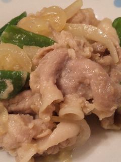 味付けは塩麹のみ!豚肉と野菜の塩麹炒め-レシピのメイン写真