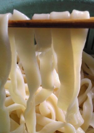 手打ちうどん（覚え書き）-レシピのメイン写真
