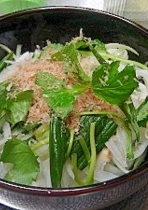 春のサラダ★新たまねぎと三葉のサラダ-レシピのメイン写真