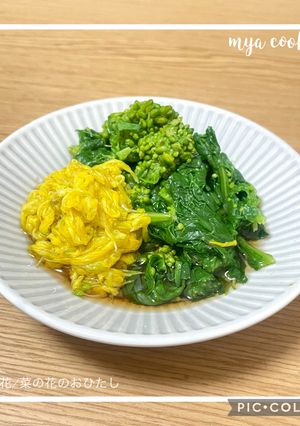 菜の花のおひたし（緑）-レシピのメイン写真