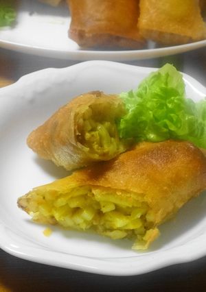 チーズたっぷり♡カレーうどん春巻き-レシピのメイン写真