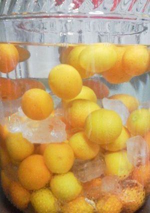 オンナノコの はちみつ金柑酒-レシピのメイン写真