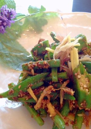 三度豆とオクラの胡麻和え-レシピのメイン写真