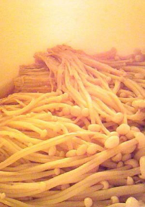 簡単：レンジ：えのきだけ白だしポン酢和え-レシピのメイン写真
