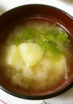 じゃがいもとセロリの葉の味噌汁-レシピのメイン写真