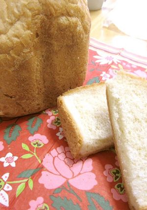 中力粉だけの食パン【HB】-レシピのメイン写真