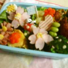 遠足 春さくら弁当-レシピのメイン写真