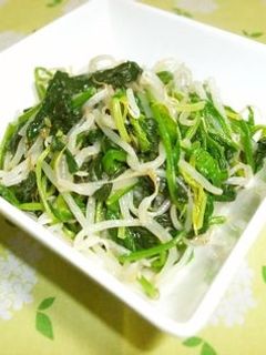 サラダ感覚☆ほうれん草ともやしのナムル-レシピのメイン写真