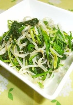 サラダ感覚☆ほうれん草ともやしのナムル-レシピのメイン写真