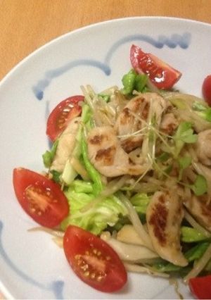 ササミの塩麹漬け野菜炒め-レシピのメイン写真