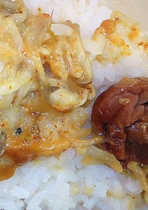 味噌もやしご飯-レシピのメイン写真
