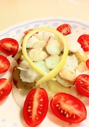 タコの真っ白カルパッチョ-レシピのメイン写真