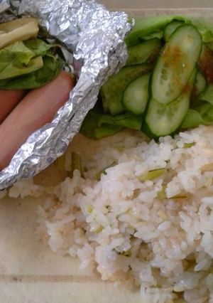 炊飯器のみでバランスランチ!-レシピのメイン写真