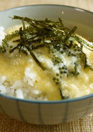 感動♡♥海ぶどうと長芋のプチとろろ-レシピのメイン写真