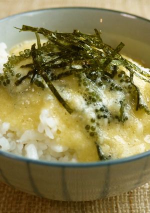 感動♡♥海ぶどうと長芋のプチとろろ-レシピのメイン写真