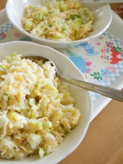 離乳食完了期☆ママも一緒にしらす炒飯♪-レシピのメイン写真
