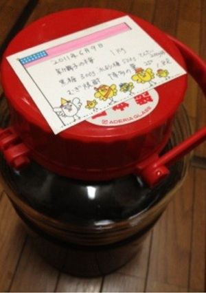 愛知産の梅酒-レシピのメイン写真