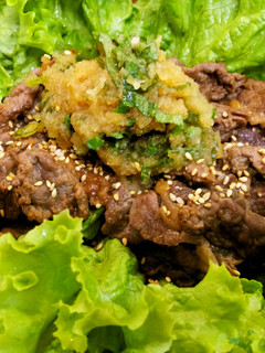 簡単!牛肉さっぱりシソ大根巻き巻き☆-レシピのメイン写真