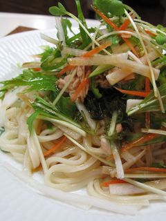 サラダ 冷やしうどん~-レシピのメイン写真