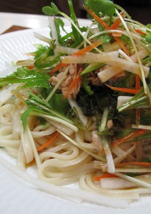 サラダ　冷やしうどん～-レシピのメイン写真