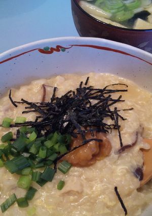 梅の酸味が美味しいとり雑炊-レシピのメイン写真