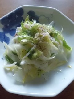 今夜のおつまみに!セロリのさきいか和え-レシピのメイン写真